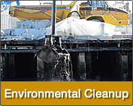 Environmental Cleanup