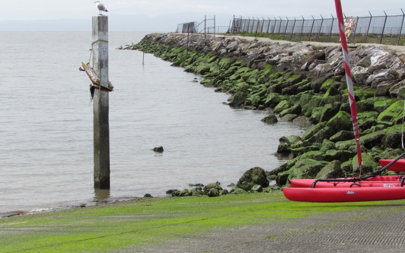 Encinal Boat Ramp