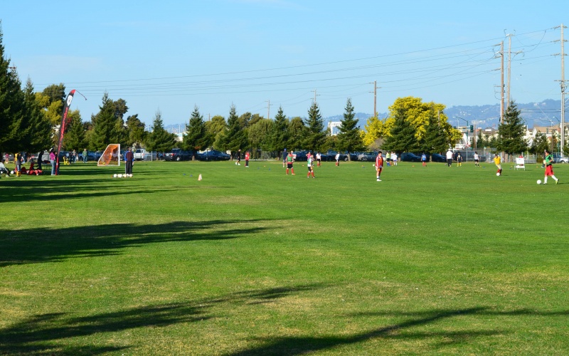 Main Street Soccer Fields