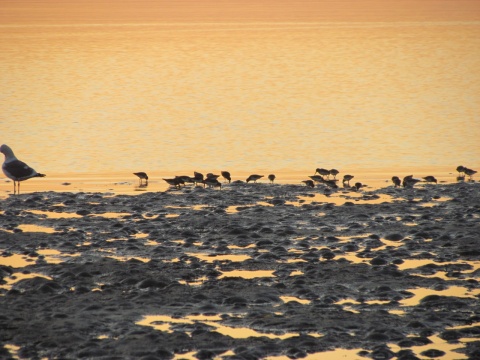 Sunset at Breakwater Beach