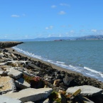 Western shoreline of Alameda Point, looking south