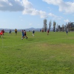 Hornet Soccer Fields