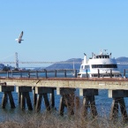 Oakland Estuary with pier remnant from Todd Shipyard