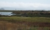 View of wetlands in southeastern portion of Wildlife Refuge along border of redevelopment zone - vicinity of Seaplane Lagoon
