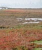 Wildlife Refuge seasonal wetlands